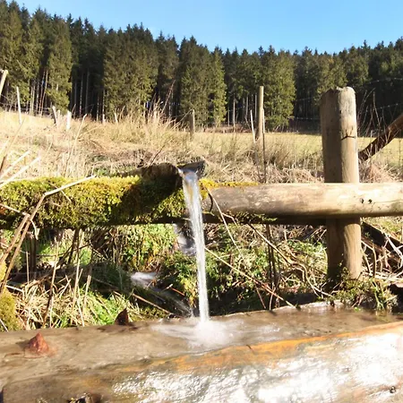 Fewo Ettelsberg Niedersfeld *